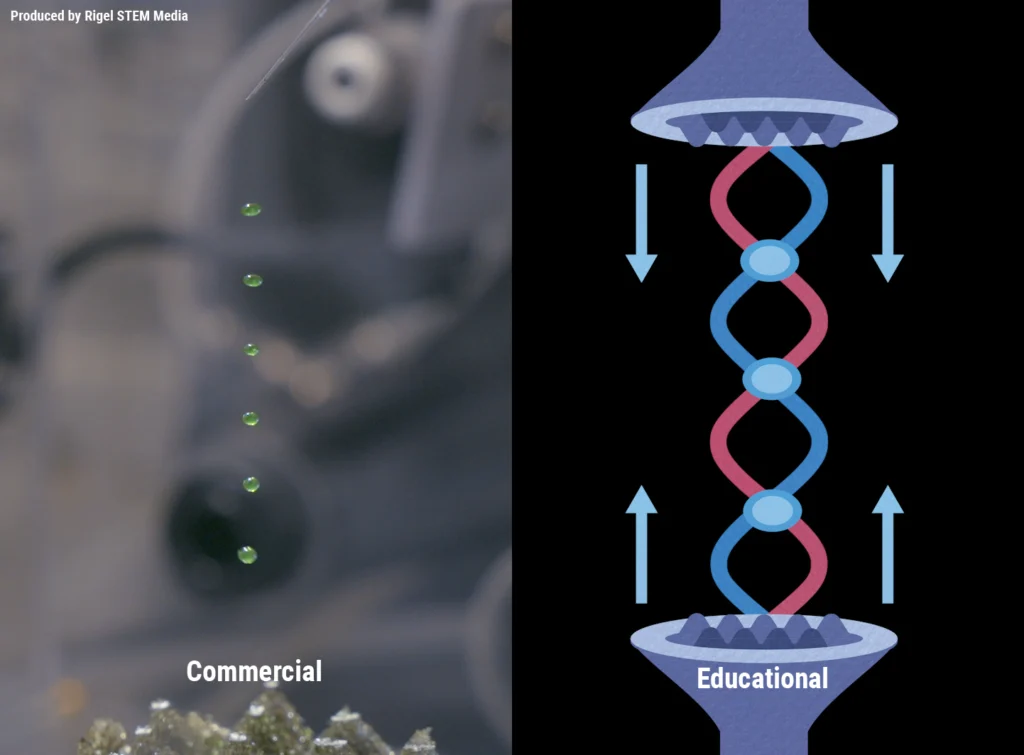 Rigel STEM Media Work Sample